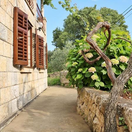 Studio Airport Dubrovnik Čilipi Екстериор снимка