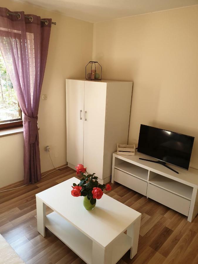 Studio Airport Dubrovnik Apartment Čilipi Екстериор снимка